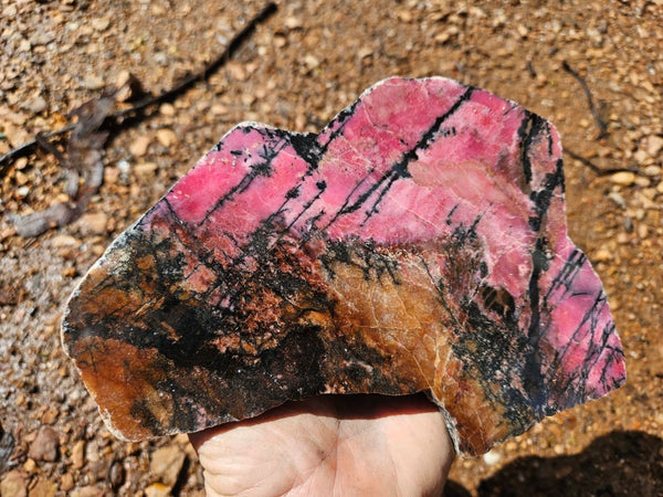 Polished Rhodonite slab RH293