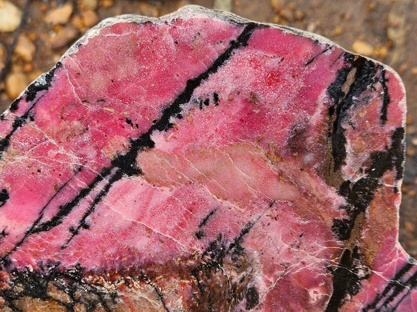 Polished Rhodonite slab RH293
