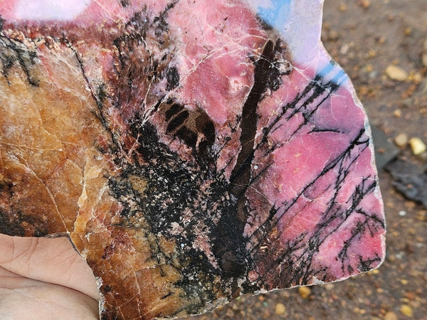 Polished Rhodonite slab RH293