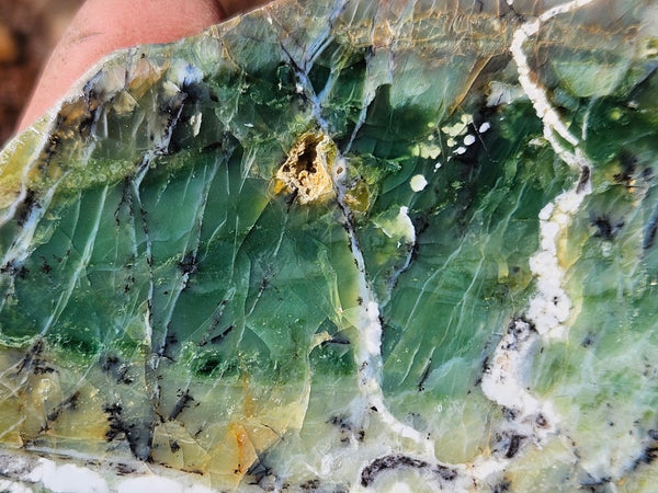 Polished Green Opal slab GRN113