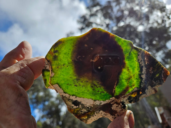 Polished Chrome Chalcedony slab CC161