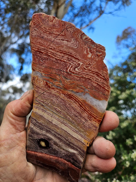 Polished  Snakeskin Jasper slab SS212