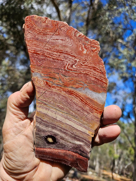 Polished  Snakeskin Jasper slab SS212