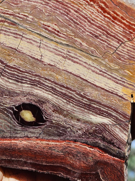 Polished  Snakeskin Jasper slab SS212