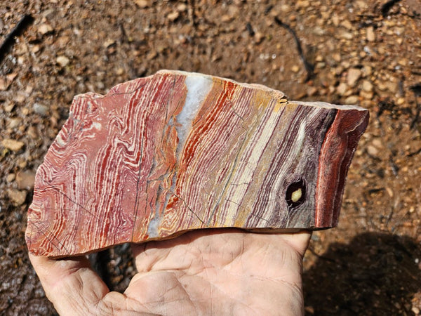 Polished  Snakeskin Jasper slab SS212