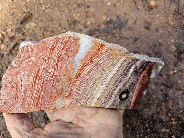 Polished  Snakeskin Jasper slab SS212