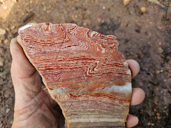 Polished  Snakeskin Jasper slab SS212