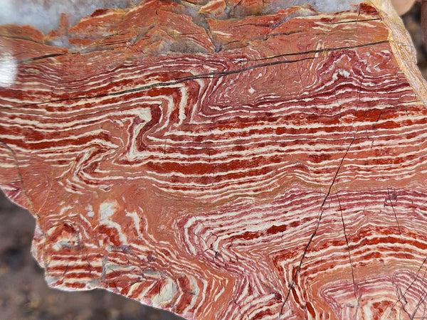 Polished  Snakeskin Jasper slab SS212