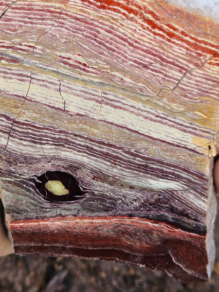 Polished  Snakeskin Jasper slab SS212