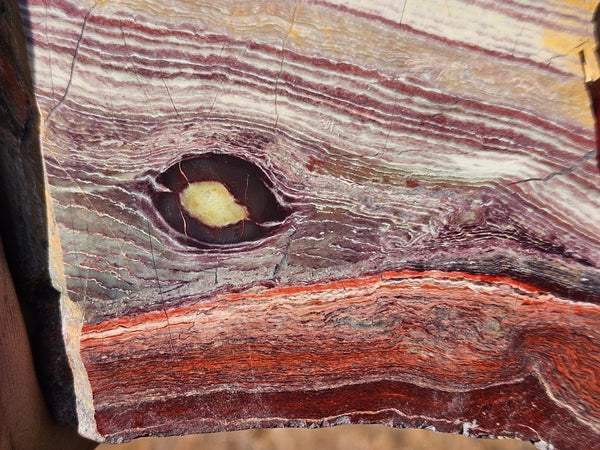 Polished  Snakeskin Jasper slab SS212