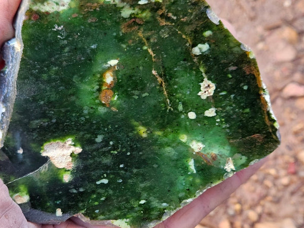 Polished Chrome Chalcedony  CC164