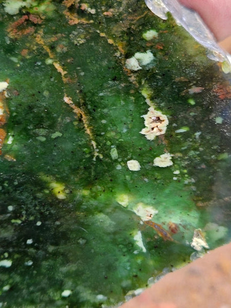 Polished Chrome Chalcedony  CC164