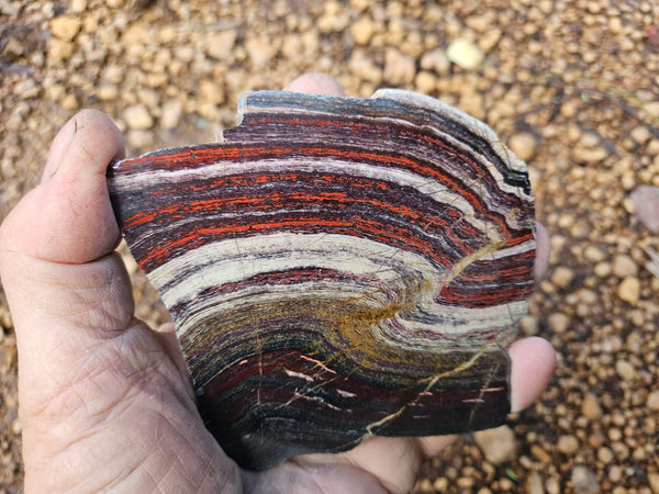 Polished  Snakeskin Jasper slab SS210