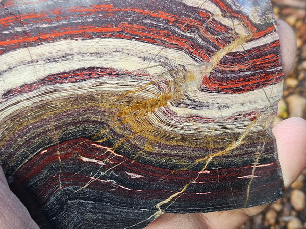 Polished  Snakeskin Jasper slab SS210