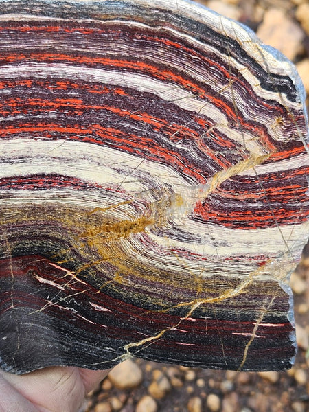 Polished  Snakeskin Jasper slab SS210
