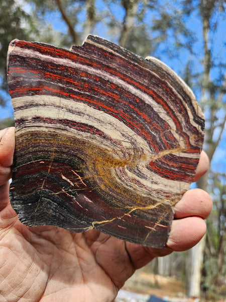 Polished  Snakeskin Jasper slab SS210