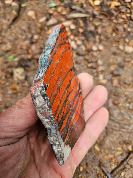 Starry Jasper polished slab SJ156