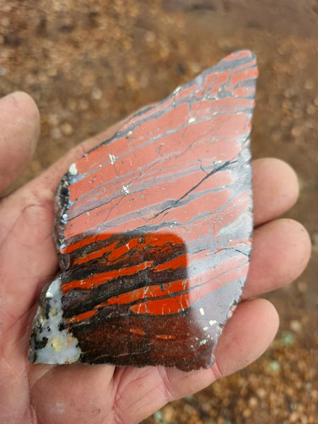 Starry Jasper polished slab SJ156