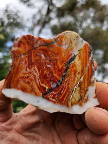 Starry Jasper polished slab SJ157