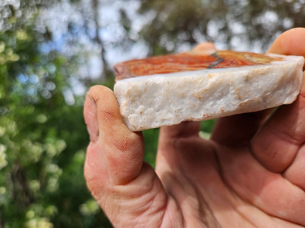 Starry Jasper polished slab SJ157
