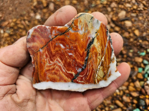 Starry Jasper polished slab SJ157
