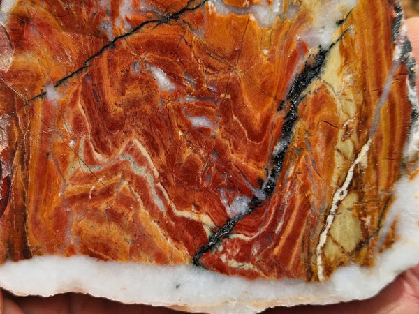 Starry Jasper polished slab SJ157