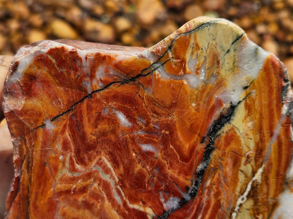 Starry Jasper polished slab SJ157