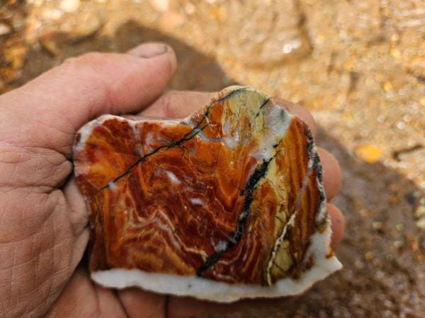 Starry Jasper polished slab SJ157