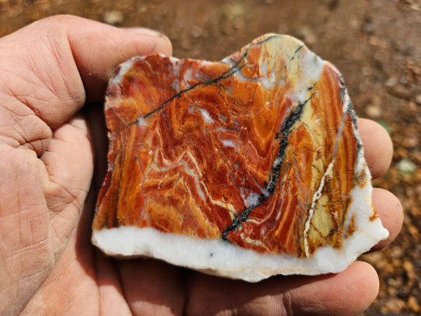 Starry Jasper polished slab SJ157