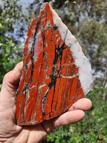 Starry Jasper polished slab SJ158
