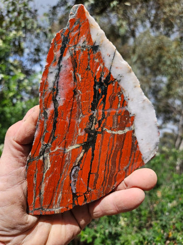 Starry Jasper polished slab SJ158