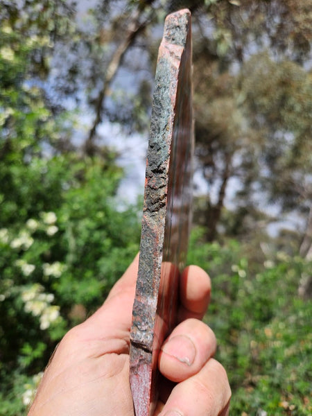 Starry Jasper polished slab SJ158