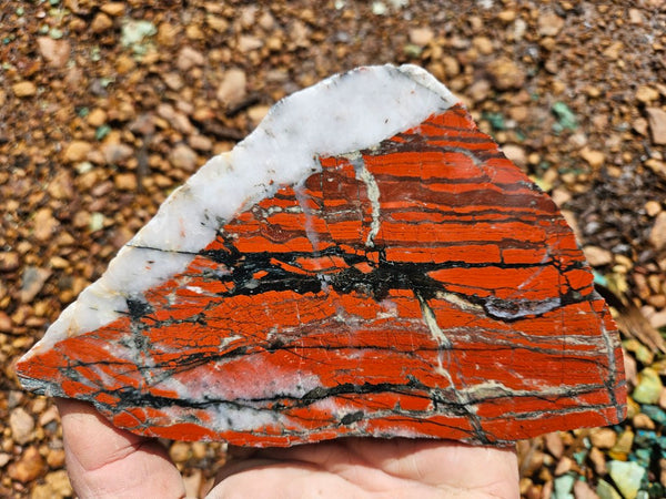 Starry Jasper polished slab SJ158