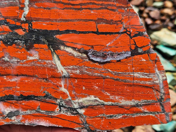 Starry Jasper polished slab SJ158