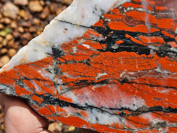 Starry Jasper polished slab SJ158