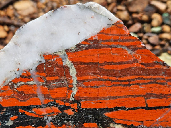 Starry Jasper polished slab SJ158