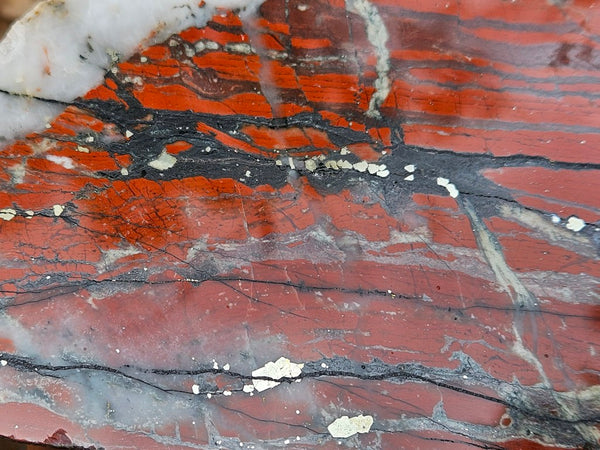Starry Jasper polished slab SJ158