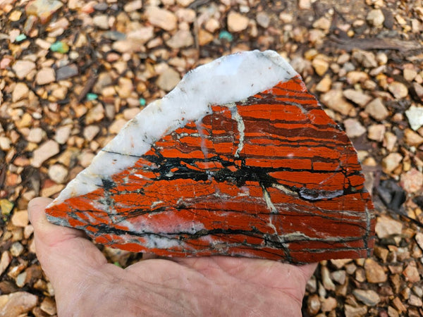 Starry Jasper polished slab SJ158