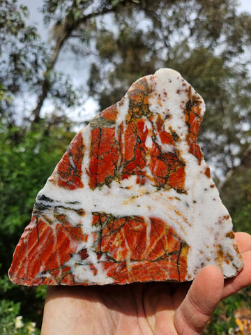 Starry Jasper  SJ155