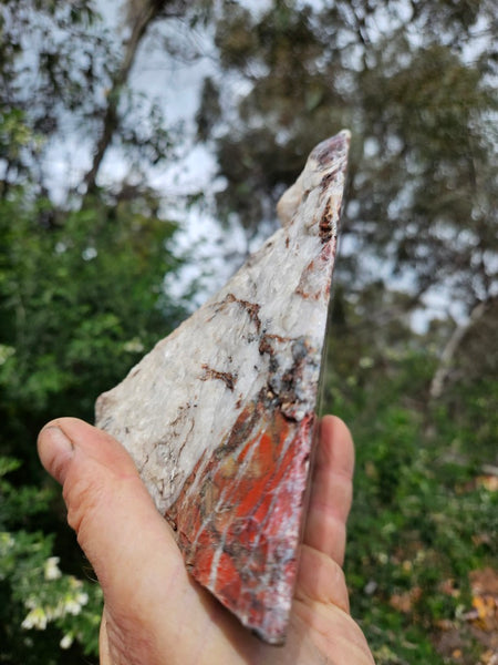 Starry Jasper  SJ155