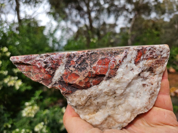 Starry Jasper  SJ155