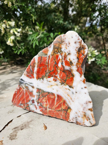 Starry Jasper  SJ155