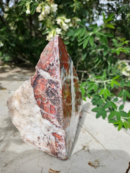 Starry Jasper  SJ155