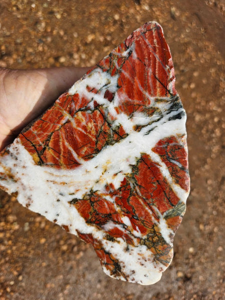 Starry Jasper  SJ155