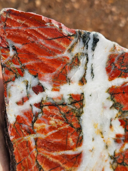 Starry Jasper  SJ155