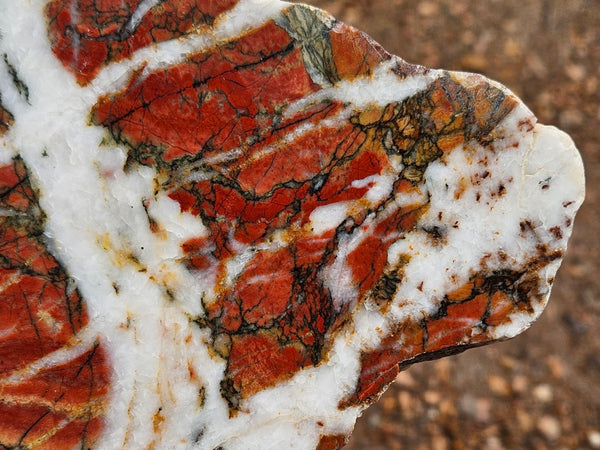 Starry Jasper  SJ155