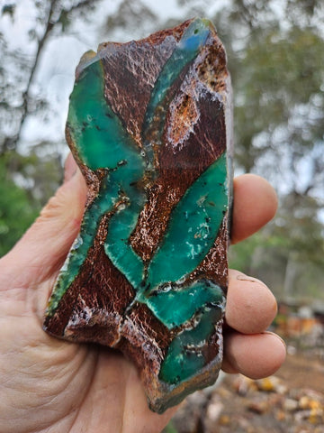 Polished  Chrysoprase  CH485