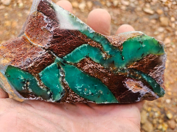 Polished  Chrysoprase  CH485