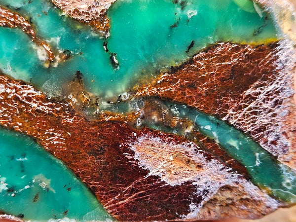Polished  Chrysoprase  CH485