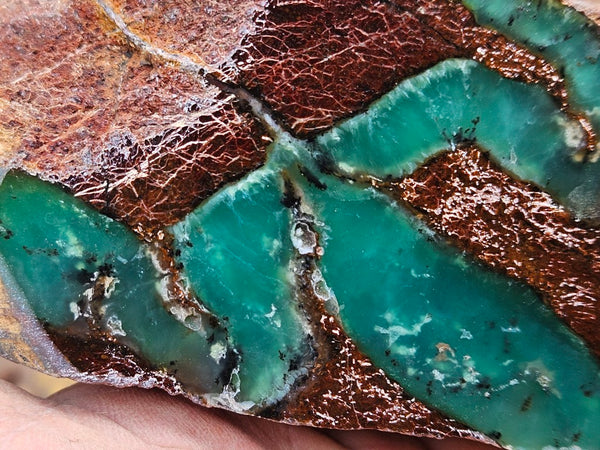 Polished  Chrysoprase  CH485